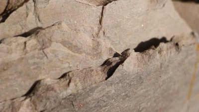 Quarzite Rosa Orientale Diam.130cm circa Lastra su Cavalletto sp.30/60mm (N.6 LASTRE)
